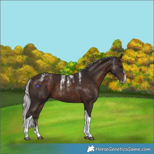Horse Color:Powder White Silver Brown Tobiano 