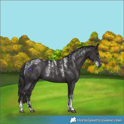 Horse Color:Powder White Smoky Black Rabicano 