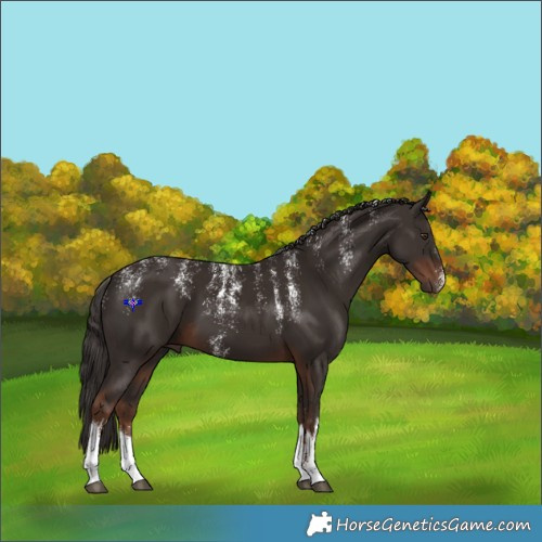 Horse Color:Powder White White Spotted Liver Chestnut 