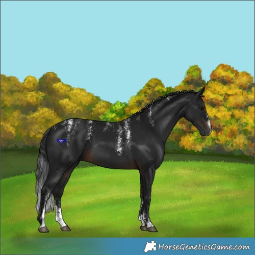 Horse Color:Powder White Gray Brown 