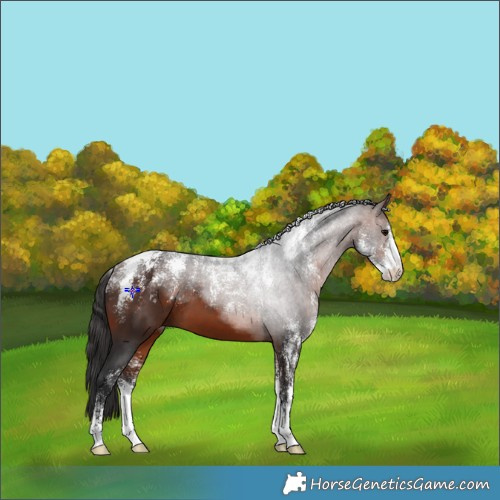 Horse Color:Powder White Bay 