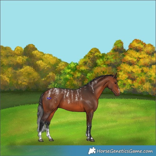 Horse Color:Powder White Bay 