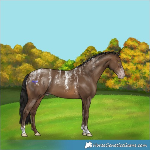 Horse Color:Powder White Gray Sable Champagne 
