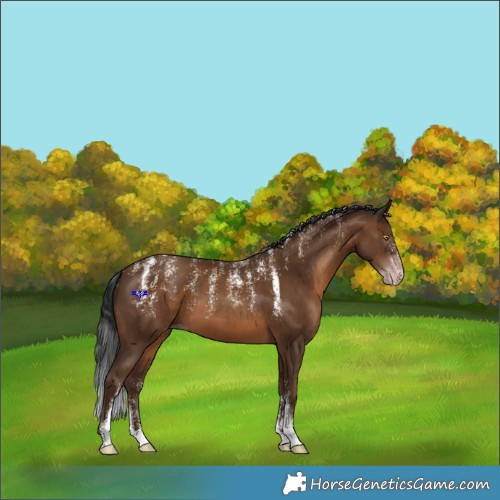 Horse Color:Powder White Gray Sable Champagne 