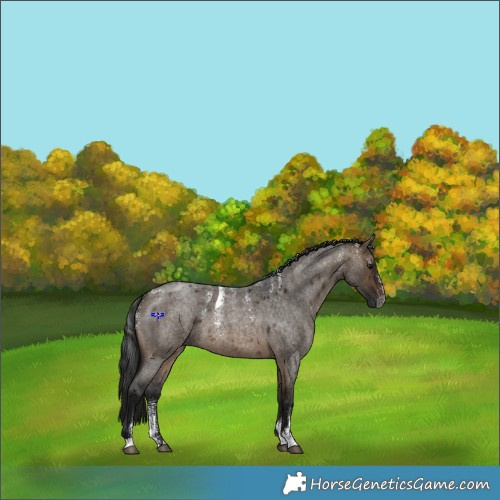 Horse Color:Powder White Gray Brown Roan Dun 