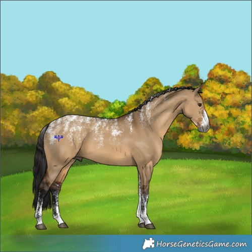 Horse Color:Powder White Gray Bay Dun 