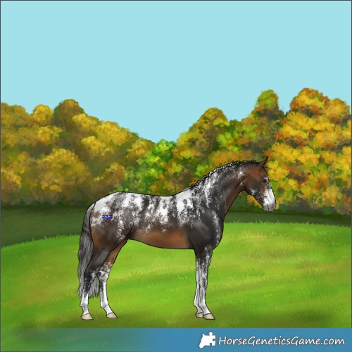 Horse Color:Powder White Gray Buckskin 