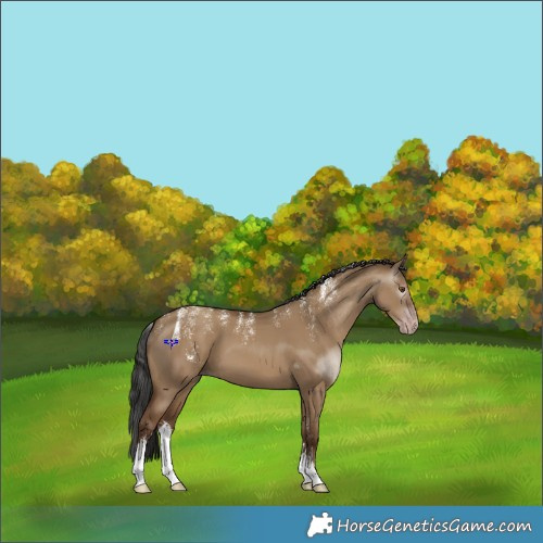 Horse Color:Powder White Gray White Spotted Classic Champagne Dun 