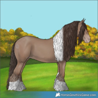 Horse Color:Classic Champagne Tobiano 
