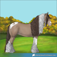 Horse Color:Classic Champagne Tobiano