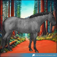 Horse Color:Blue Roan 