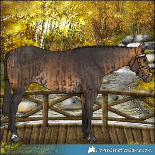 Horse Color:Smoky Black and Buckskin