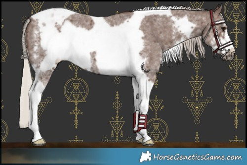 Horse Color:Silver Black Sabino Tobiano Frame Rabicano 