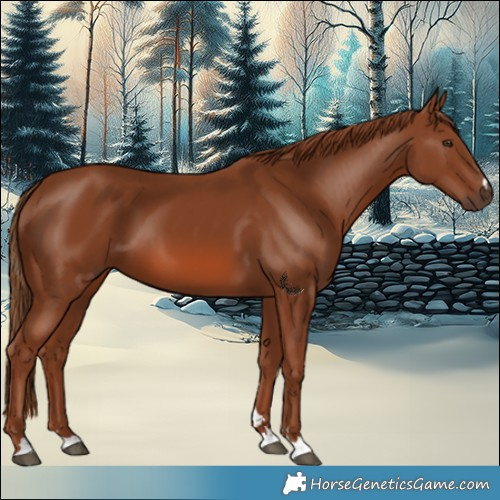 Horse Color:Chestnut 