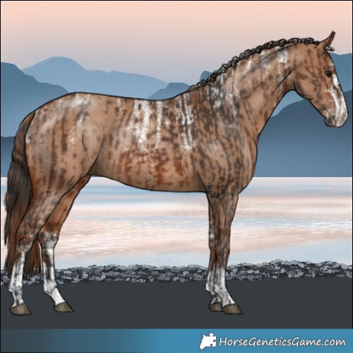 Horse Color:Powder White Brown  and Powder White Red Dun Rabicano 