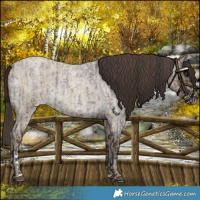 Horse Color:Smoky Blue Roan and Classic Cream Champagne Roan