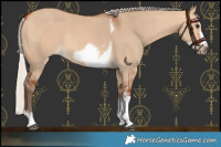 Horse Color:Silver Bay Dun Sabino Tobiano Frame Rabicano