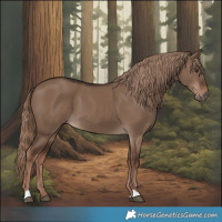 Horse Color:Liver Red Dun 