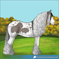 Horse Color:Grullo Splash Tobiano 