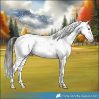 Horse Color:Brown Dun Sabino Blanket Brindle