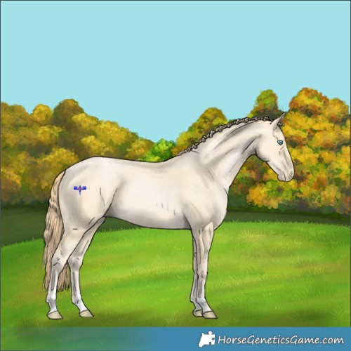Horse Color:Buckskin Pearl Sabino 