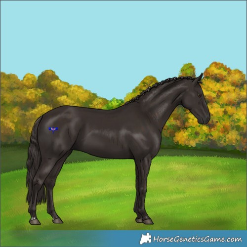 Horse Color:Liver Chestnut  and Liver Chestnut 