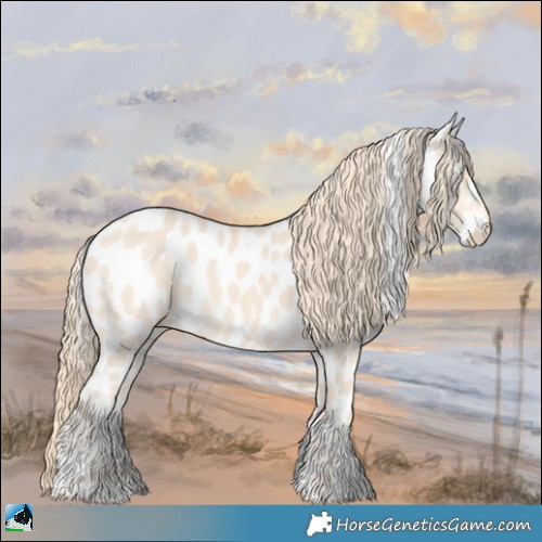 Horse Color:Perlino Appaloosa 
