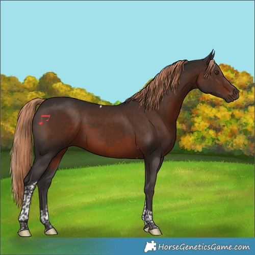 Horse Color:Liver Chestnut Tobiano 
