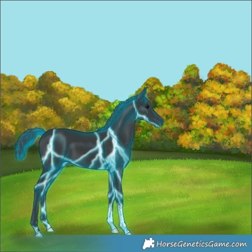 Horse Color:Thunderstruck Black Tobiano 