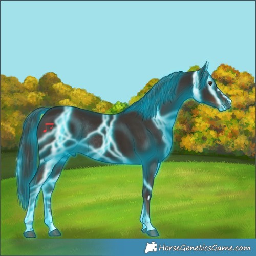 Horse Color:Thunderstruck Liver Chestnut Rabicano 