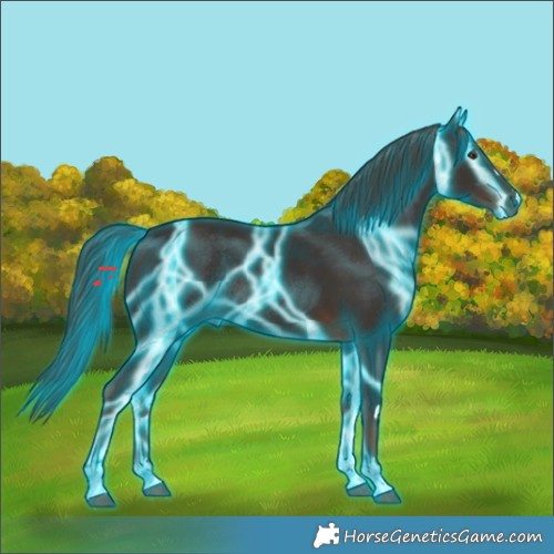 Horse Color:Thunderstruck Liver Chestnut Rabicano 