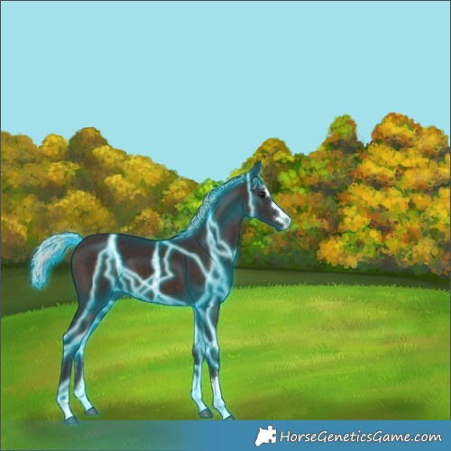 Horse Color:Thunderstruck Silver Brown 