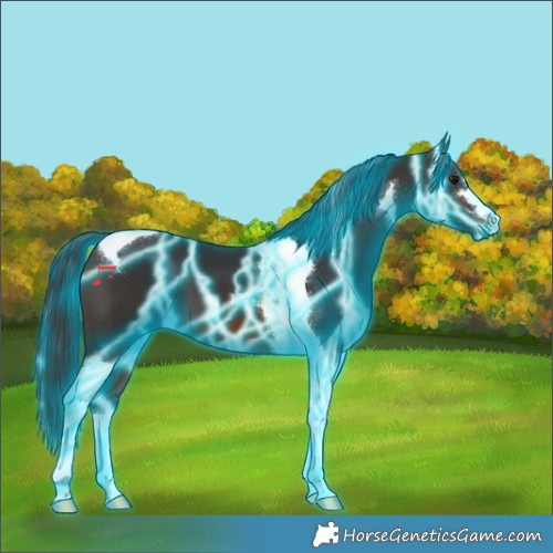 Horse Color:Thunderstruck Brown Tobiano 