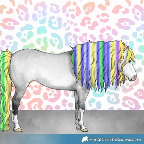 Horse Color:Painted Silver Bay Chinchilla Dun Appaloosa 