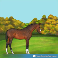 Horse Color:Brown 