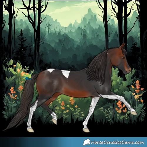 Horse Color:Bay Tobiano 
