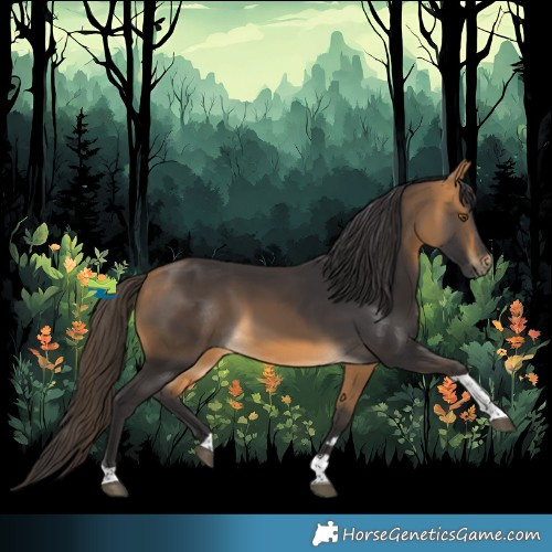 Horse Color:Buckskin Tobiano 