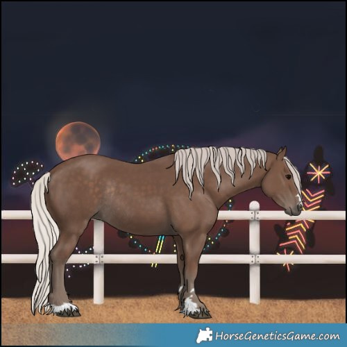 Horse Color:Silver Black Rabicano 