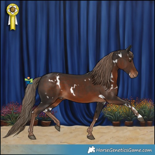 Horse Color:White Spotted Liver Chestnut 