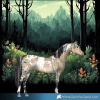 Horse Color:White Spotted Buckskin Dun 