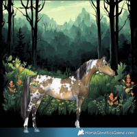 Horse Color:White Spotted Buckskin Dun 