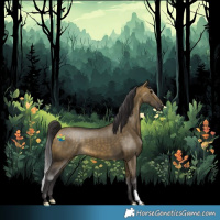 Horse Color:Buckskin Dun 