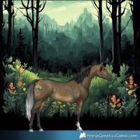 Horse Color:Buckskin Dun 