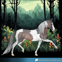 Horse Color:Brown Roan Splash Tobiano Rabicano 