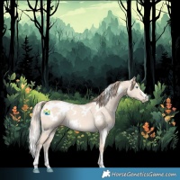 Horse Color:White Spotted Perlino Dun 