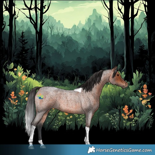 Horse Color:Bay Roan Tobiano 