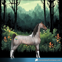 Horse Color:Bay Roan Tobiano 