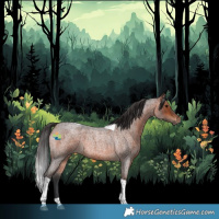 Horse Color:Bay Roan Tobiano