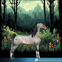 Horse Color:Buckskin Roan Tobiano 