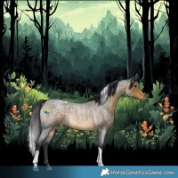 Horse Color:Buckskin Roan Tobiano 